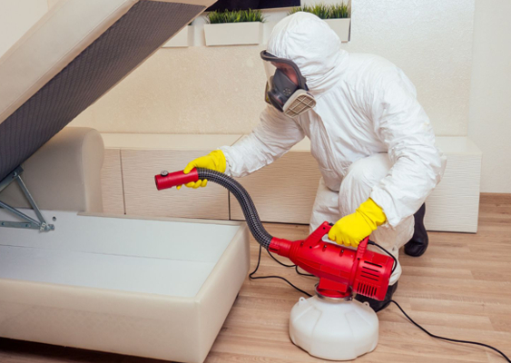 CONTROL DE PLAGAS FUMIX CONTROL